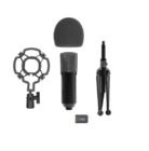 Микрофон Ritmix RDM-160 черный