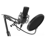Микрофон Ritmix RDM-169 черный