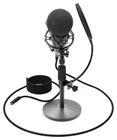 Микрофон Ritmix RDM-175 черный